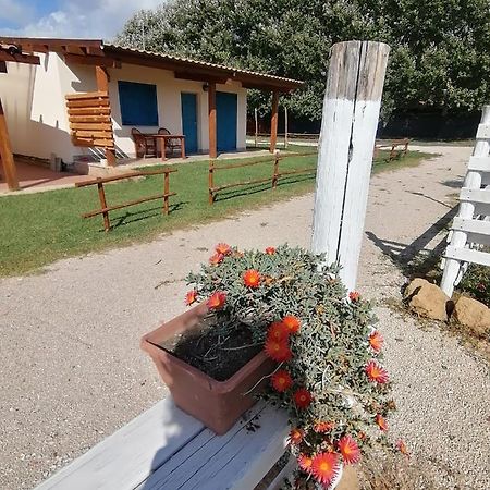 Agriturismo Oca Giuliva リド・デイ・ピニ エクステリア 写真